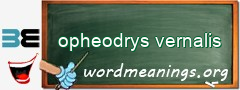 WordMeaning blackboard for opheodrys vernalis